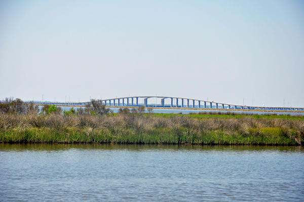 bridge view from Bayou Heron Park